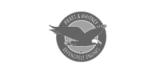 Pratt & Whitney Logo